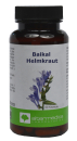 Baikal Helmkraut, Scutellaria baicalensis, regeneriert Leber, senkt Cholesterin, Fieber, gegen Bakterien, Viren, Pilze, candida, magen-darm Grippe, bremst Blutplätchenverklumpung, senkt Blutdruck, Blutzucker